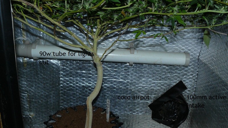 drobes 30 09 21 041