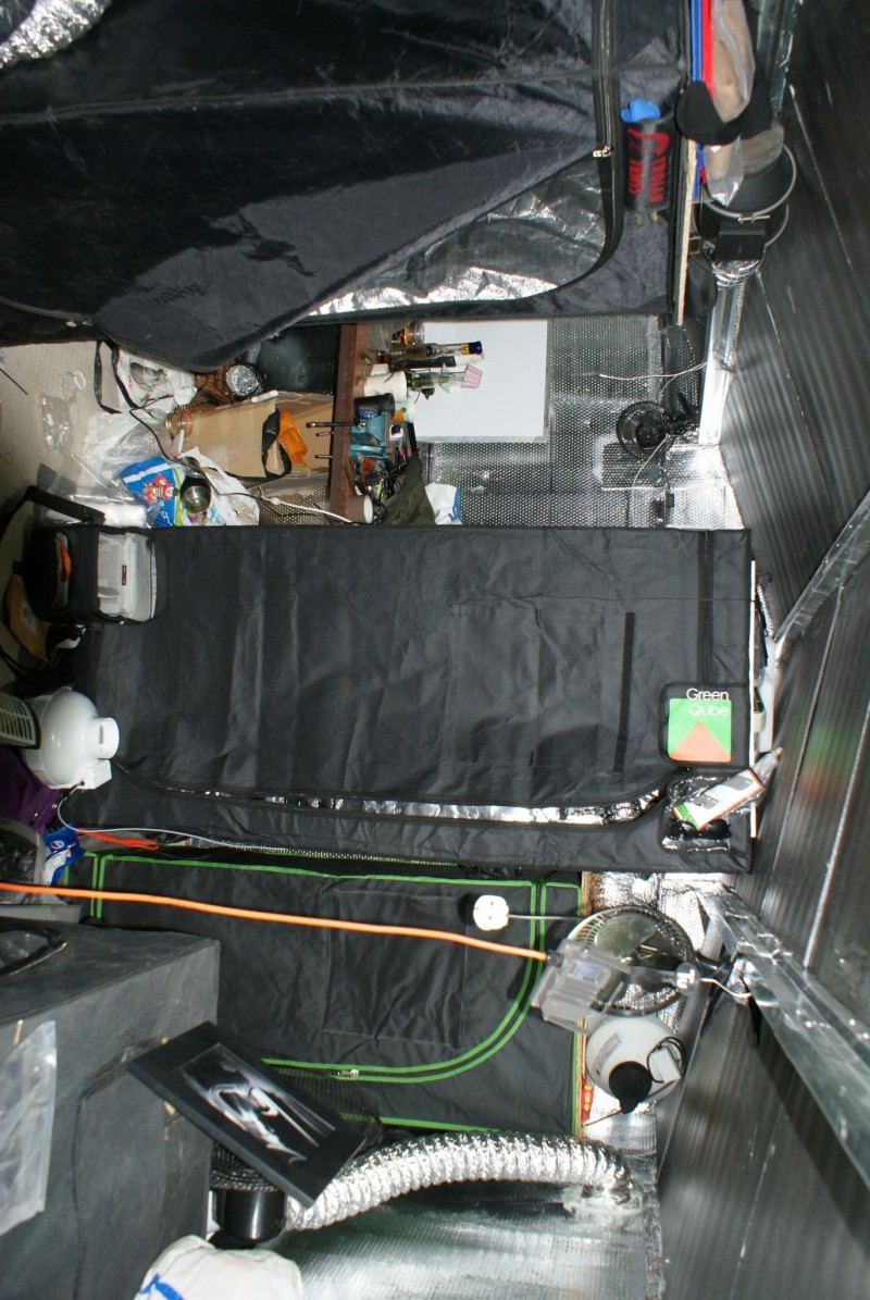 DSC05652