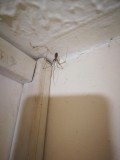 IMG_20211004_142257
