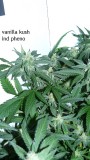 drobes 04 10 21 004