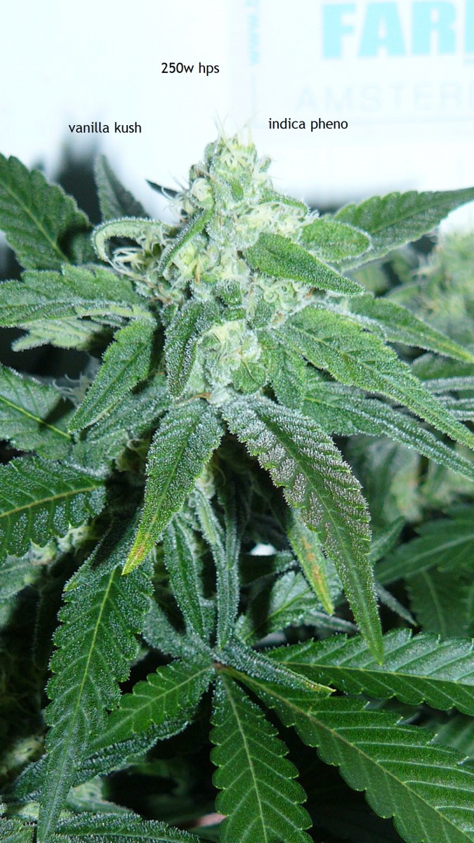 drobes 04 10 21 009