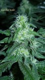 drobes 04 10 21 014