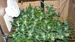 drobes 04 10 21 030