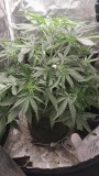 IMG_20211005_203003