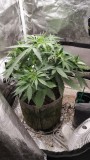 IMG_20210929_203032