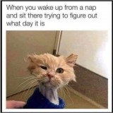 E--_LWRX0AUPbsL