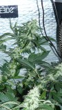 drobes 06 10 21 044