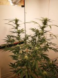 IMG_20211007_172347