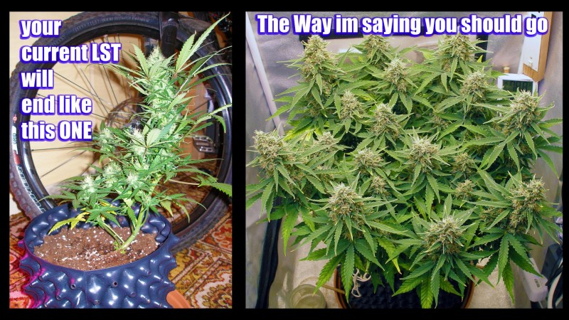 growmie