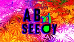 mn Ab seedy multi
