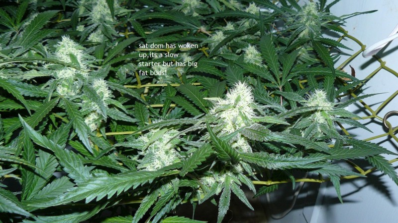 drobes 09 10 21 003