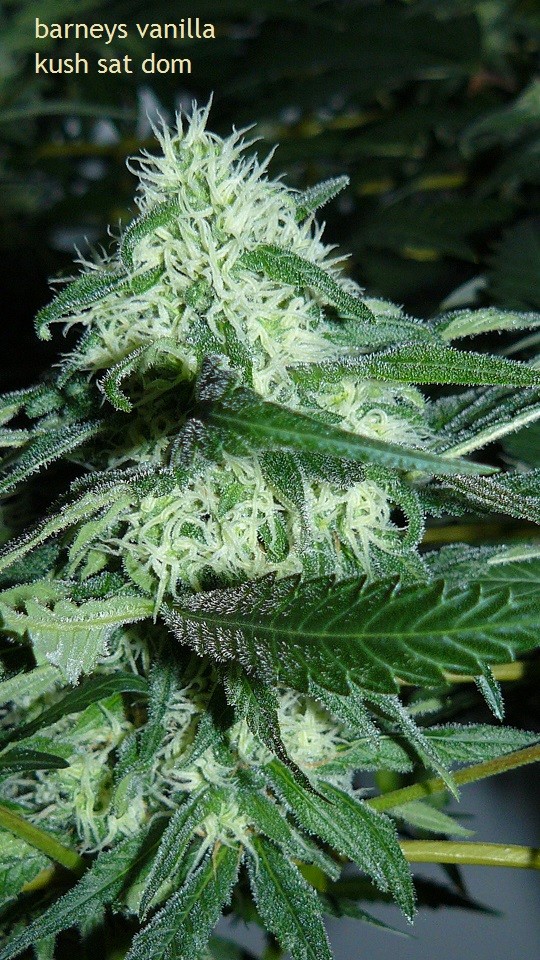 drobes 09 10 21 026