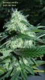 drobes 09 10 21 026
