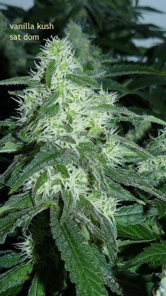 drobes 09 10 21 035