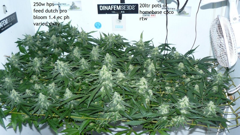 drobes 09 10 21 037