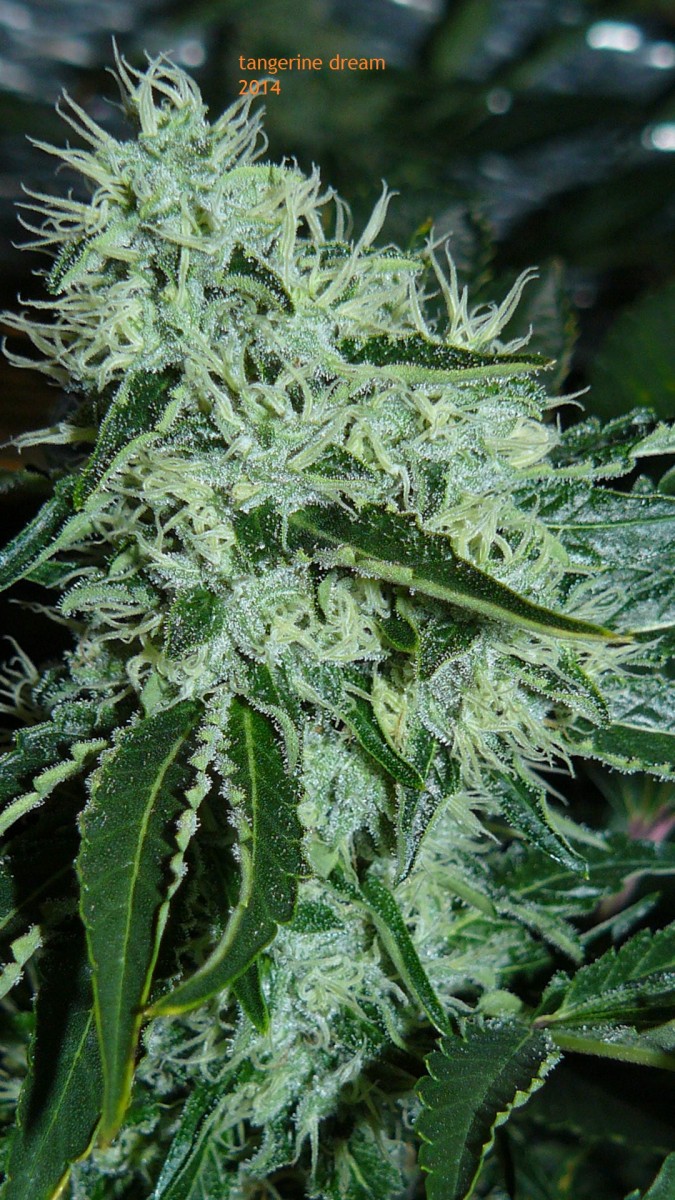 drobes 09 10 21 068