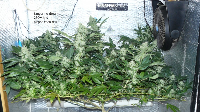 drobes 09 10 21 069