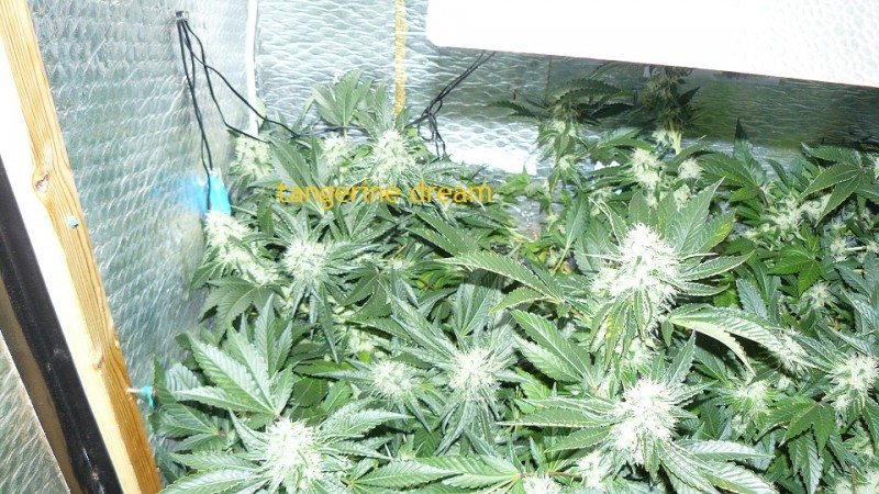 drobes 09 10 21 071