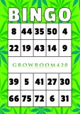 mn bingo card