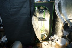 DSC05666