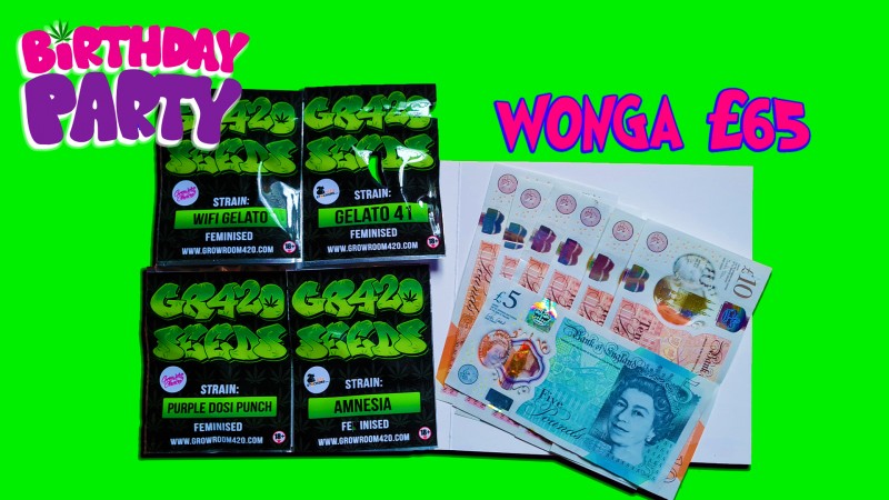 mn wonga