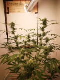 IMG_20211011_140031
