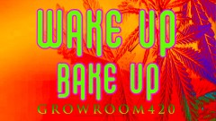 mn wakeupbakeup