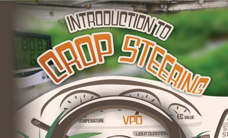 introcrop