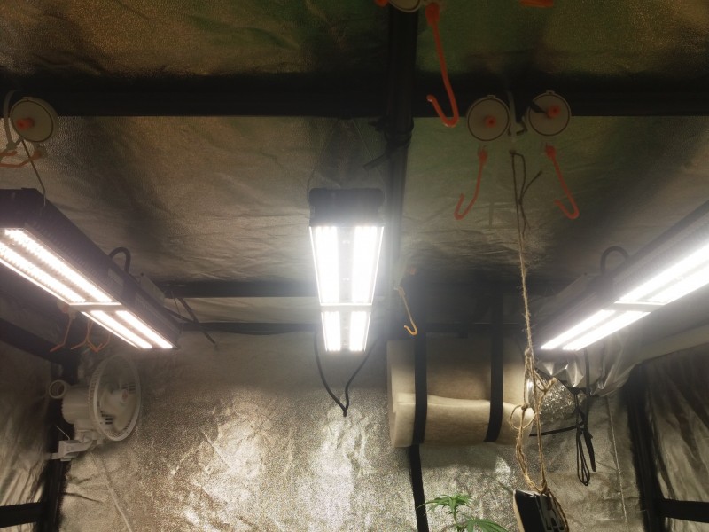 Mars Hydro SP 150