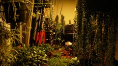 drobes 15 10 21 084