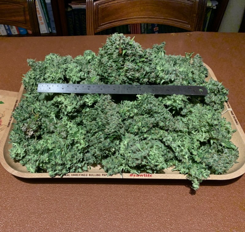Silky on a tray