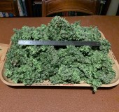 Silky on a tray
