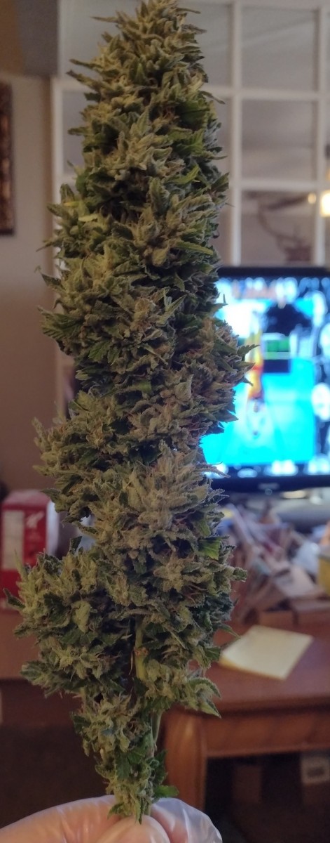 Super Sour Diesel