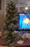 Super Sour Diesel