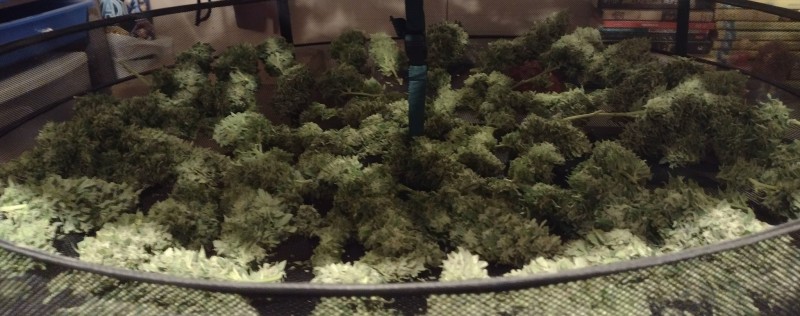 Super Sour Diesel