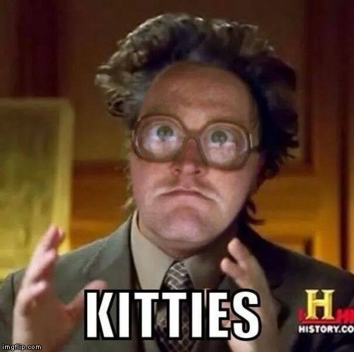 kitties-bubbles-meme