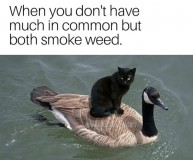 FB2uGskWQAQknYZ