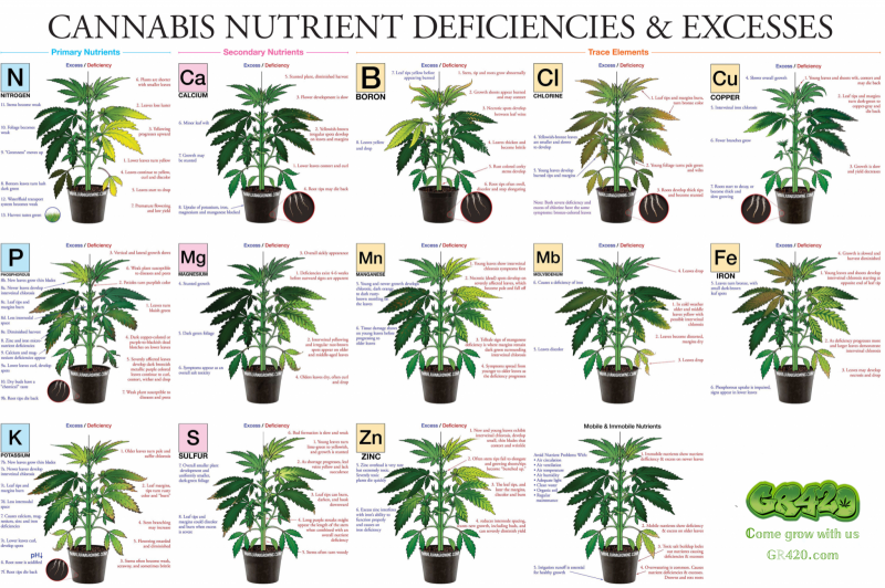 marijuana-deficiency-chart-jorge-cervantesv2
