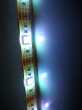 IMG_20211019_184850