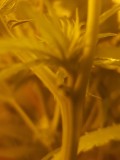 20181205_011048