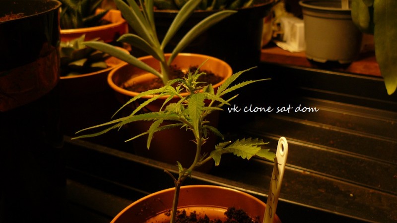 drobes 20 10 21 005