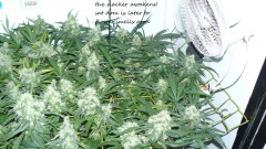 drobes 20 10 21 010