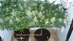 drobes 20 10 21 030