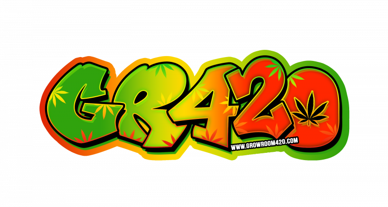 rasta colours grafiti2