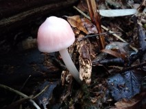 IMG20211019165010