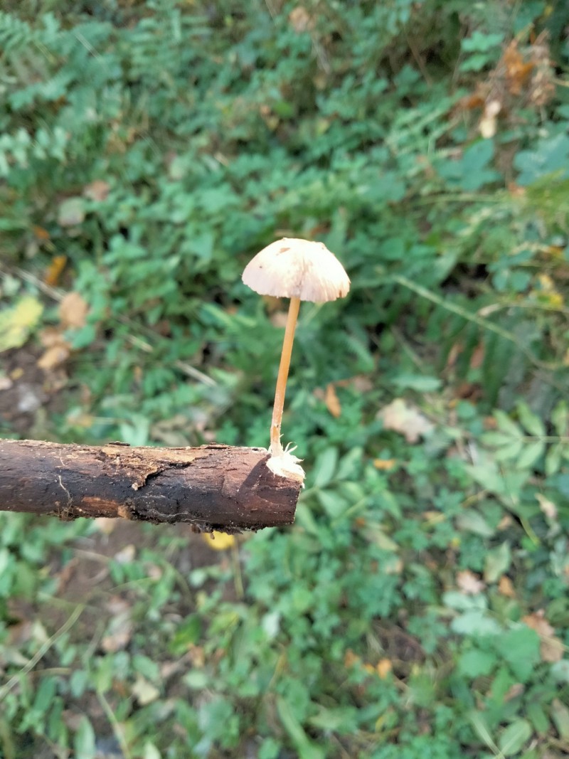 IMG20211019140534