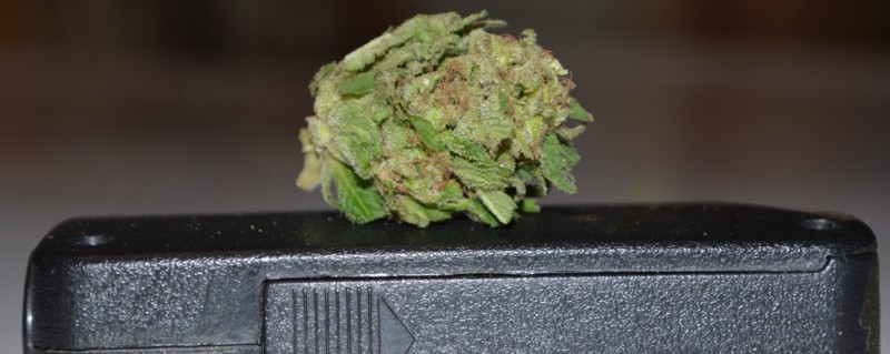 DSC_0024 (1024x408)