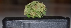 DSC_0024 (1024x408)