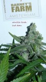 drobes 25 10 21 020