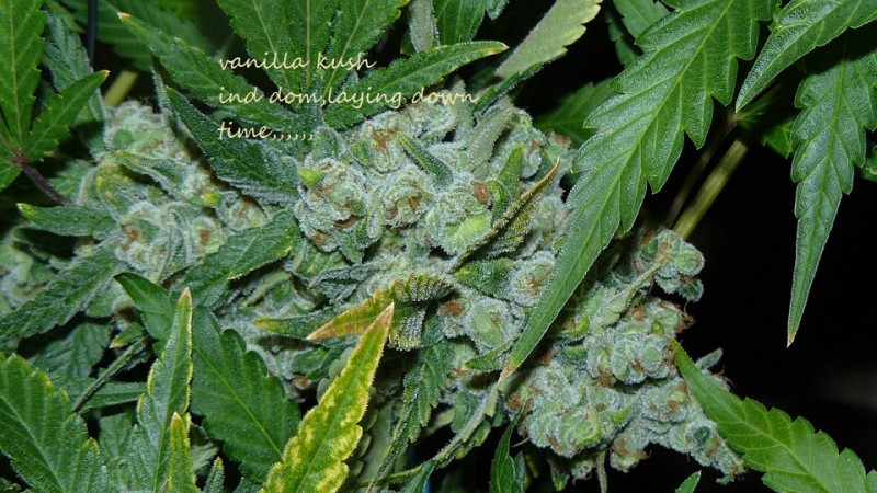 drobes 25 10 21 022